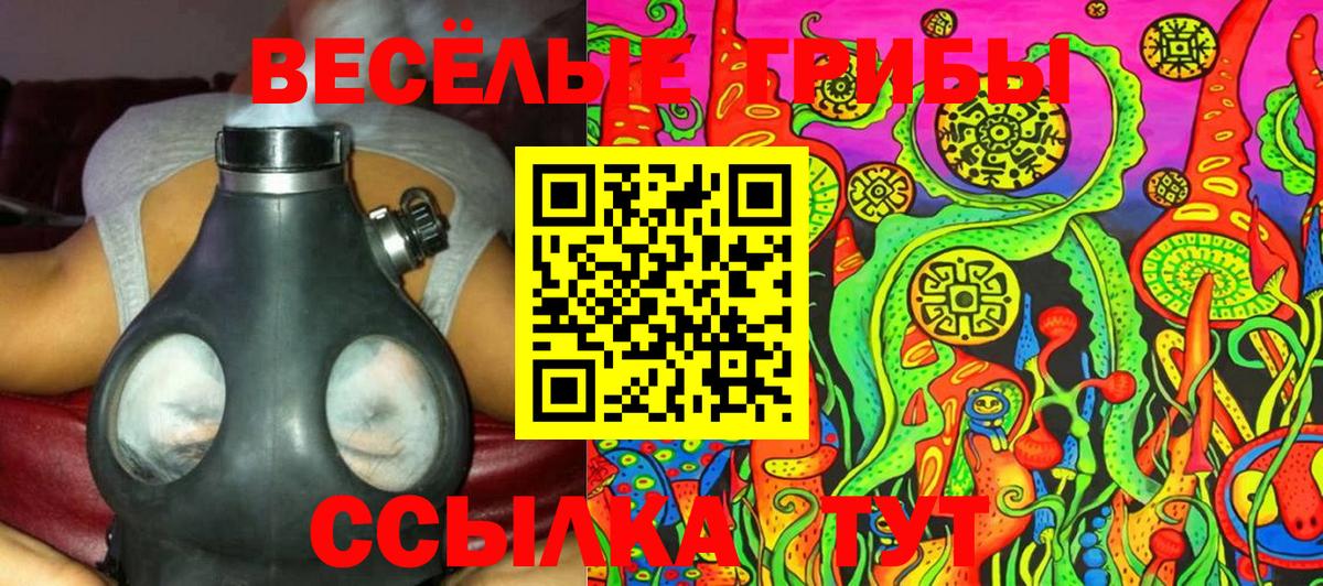 Псилоцибиновые грибы GOLDEN TEACHER  наркота  Балтийск  Псилоцибиновые грибы ЛСД  Вход с VPN 